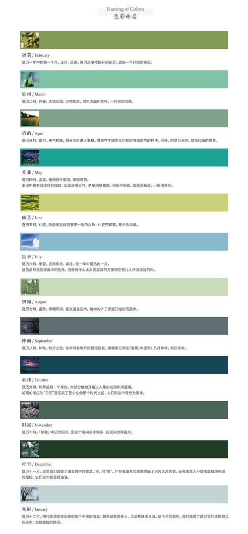 Thimple文具產品設計 以“喚心·青”系列引領數字內容制作新潮流